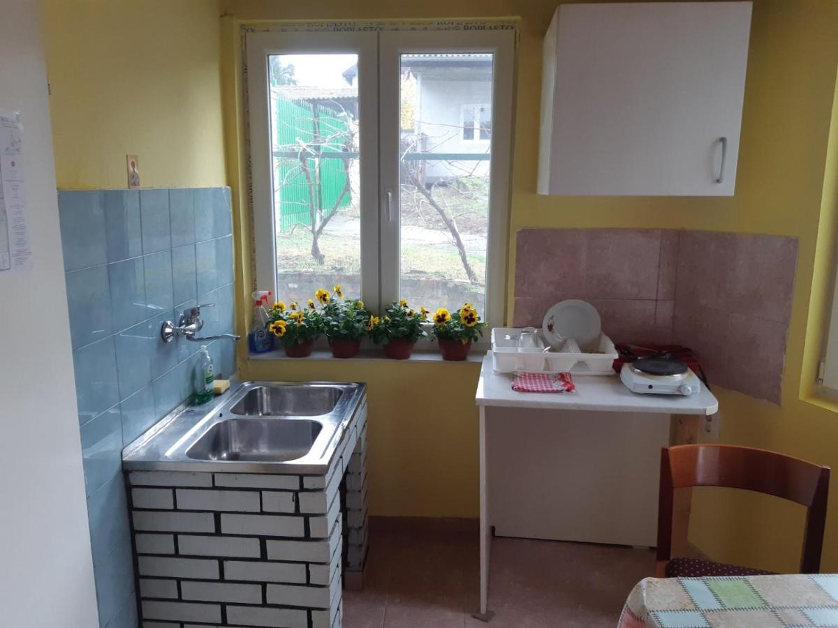 Apartman Novi Sad - Apartment Novi Sad Sremska Kamenica Exterior photo